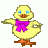 Miniduck