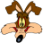 WileECoyote