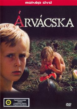 DVD-rv-cska-cimlap-350.jpg