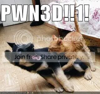 cat-pwns-dog.jpg