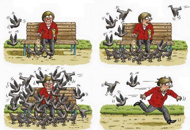 merkel-galambok.jpg