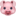 1f437.png