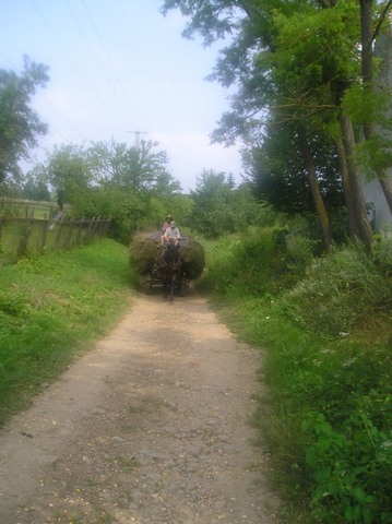 BIG_0001769421.jpg