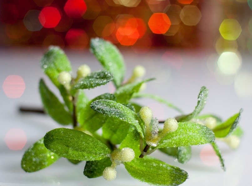 Mistletoe.jpg