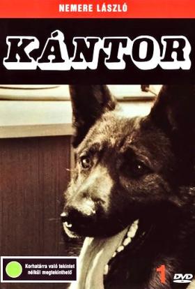 filmi.hu