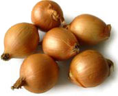 allium_cepa.jpg