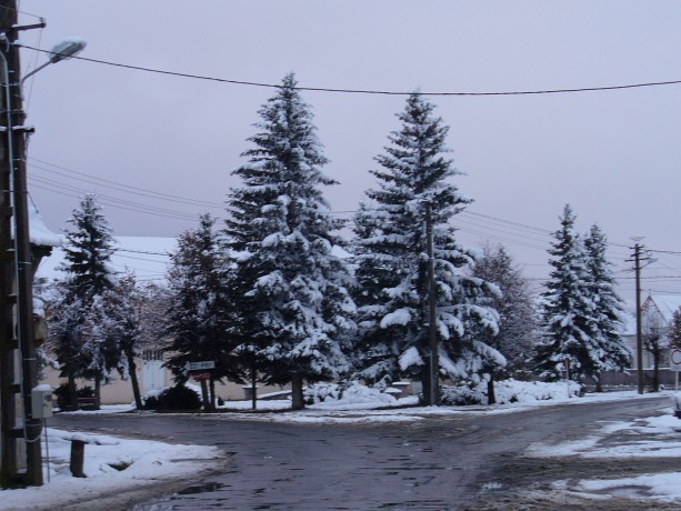BIG_0003462779.jpg