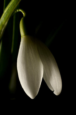 BIG_0005557643.jpg