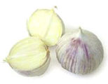 allium_sativum2.jpg