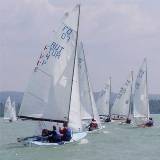 regatta.jpg