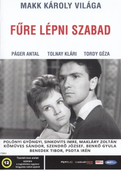 DVD-F-re-l-pni-szabad-cimlap-350.jpg