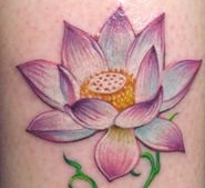 BIG_0005061650.jpg