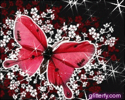 butterfly2.gif