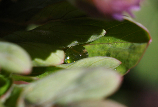 BIG_0005628755.jpg