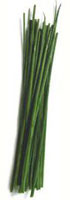 allium_schoenoprasum.jpg