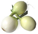 allium_cepa7.jpg