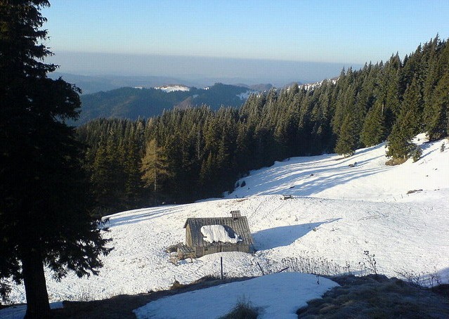 BIG_0001711138.jpg