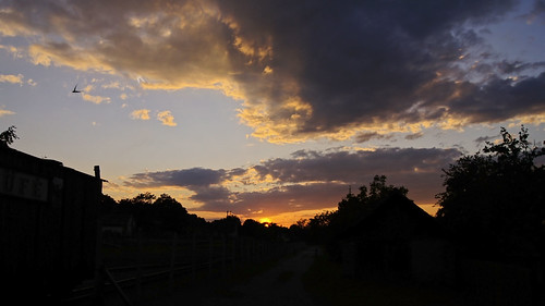 4712719970_5cfe621f83.jpg