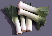 allium_porrum.jpg