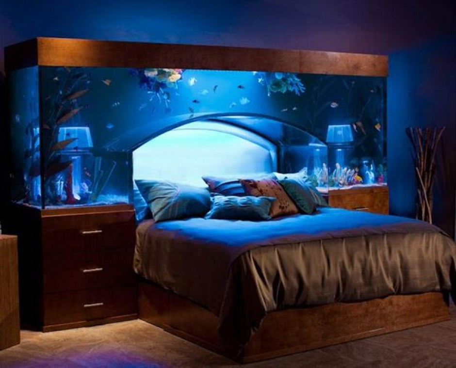 aquarium+bed+frame.jpeg