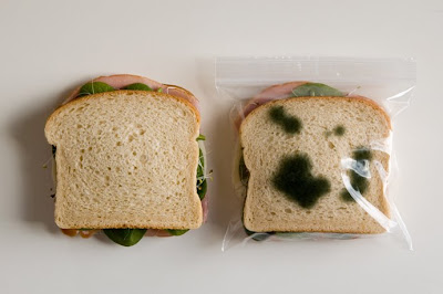 lunch_bag_5.jpg