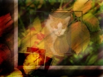 Autumn_Cat_avatar_by_dreamy22.jpg