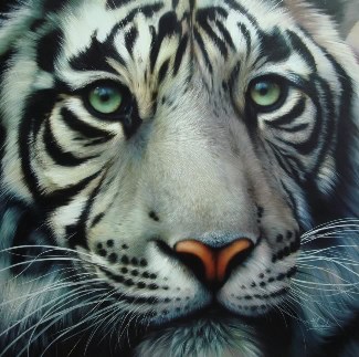 Tiger4.jpg