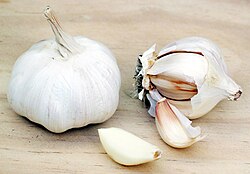 250px-Garlic.jpg