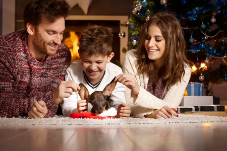 45691881-happy-young-family-having-fun-with-dachshund-puppy,-lying-on-floor-by-christmas-tree..jpg