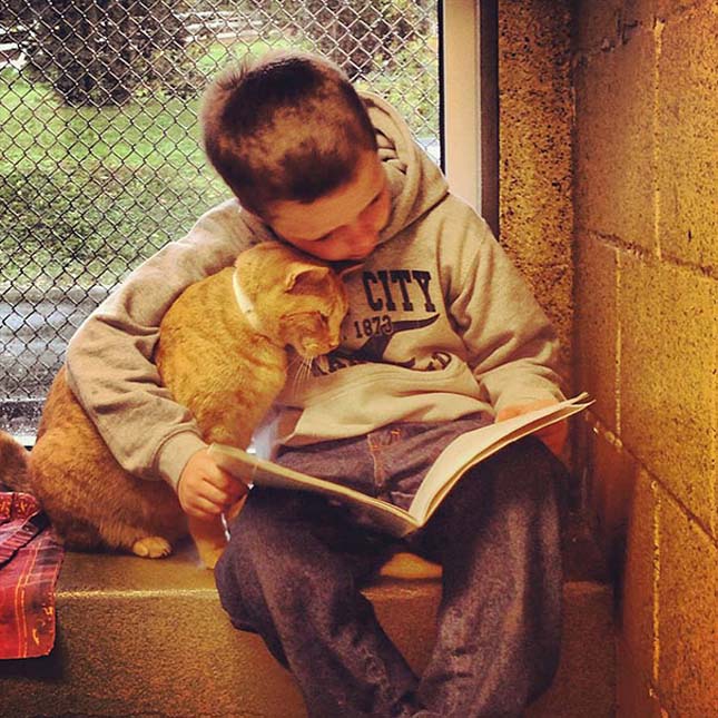 reading-children-shelter-cats-book-buddies-8.jpg