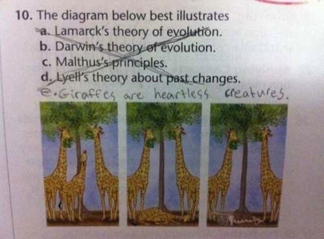 test-answers-that-are-totally-wrong-but-still-genius-12.jpg