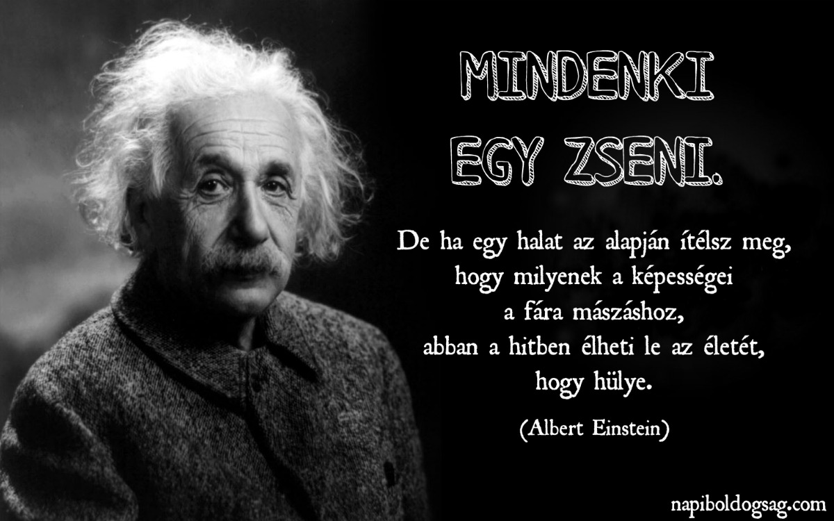 Einstein-id%C3%A9zet.jpg