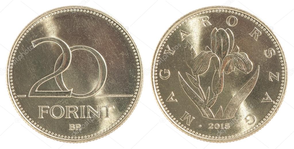 depositphotos_108199996-stock-photo-hungarian-20-forint-coin.jpg